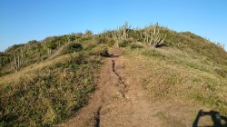 T&T-Conchas-CaboFrio_10072015_03