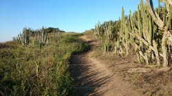 T&T-Conchas-CaboFrio_10072015_05